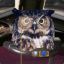 guardian_owl