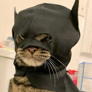 BatMiau
