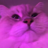 NICE - steam id 76561198884260087