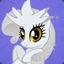 xXSilver PonyXx