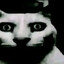 Wake Up (o)_(o)