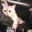 故里