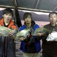 (H.K)BBXBBX武田岡川