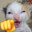 Dragon_Pb