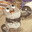 REDORAN Steam avatar