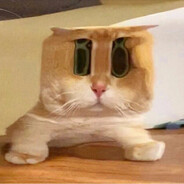 我们一起学猫叫🐾