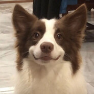gazakov's avatar