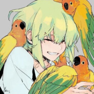 77网络！连接！！