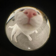 meow