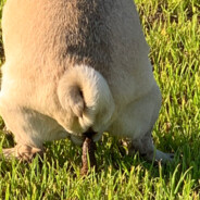 ;Твоя эстетика"