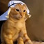 Sheikh Meowmed