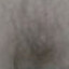 Emmett Cullen's avatar