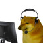 Dog's avatar