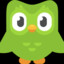 Duolingo Owl