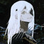 CrypticDusk