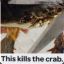 This Kills The Crab