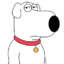 Brian Griffin