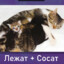 явно не не тупой