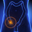 Appendix