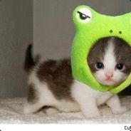 Kepp0 - steam id 76561197964429139
