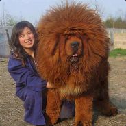 BIG SWINGING NUTSACK