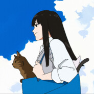 fl4ko 's avatar