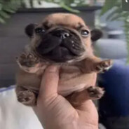 My Names Pibble Wash my belly