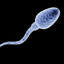 Last Brain cell