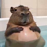 Шустрый