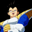 Base Vegeta 214S
