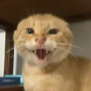 耄耋的圆头棘背龙形态