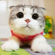 ❤ - steam id 76561198336466257