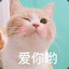 所儿