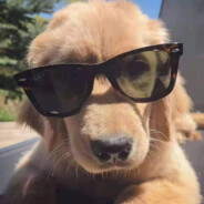 翻斗花园突破手胡图图