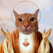 只有失敗者作弊