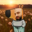 БандитоБобрито