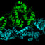 ReverseTranscriptase