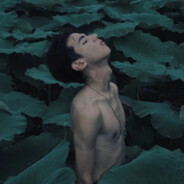 该死的风.