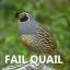 Fail_Quail