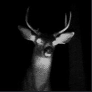Pr3y_Animal