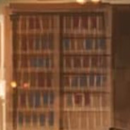 A Certain Library's Bookshelf #8