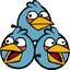 The Blue Angry Bird
