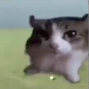 Sk4Zo4nik - steam id 76561199243722385