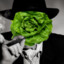 Don Cesare Ludva Lettuce_7☯