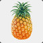 FRUCT