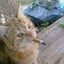 prticle