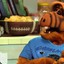 Alf