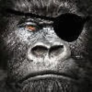 Self-Employed Kamikaze