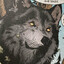 dog.days-