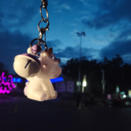 周树人门前的树